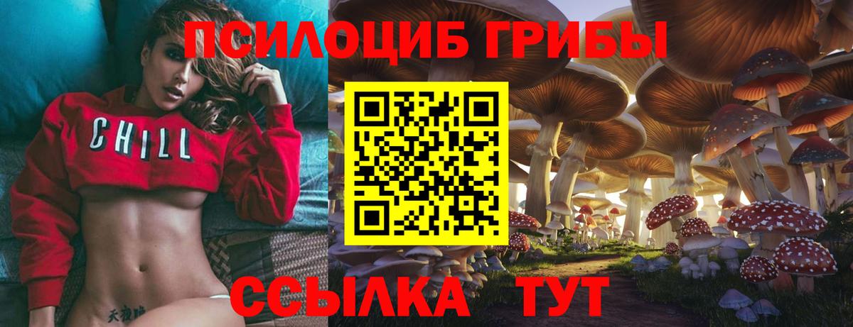 Галлюциногенные грибы Cubensis  даркнет сайт  Уссурийск  Вход с VPN 